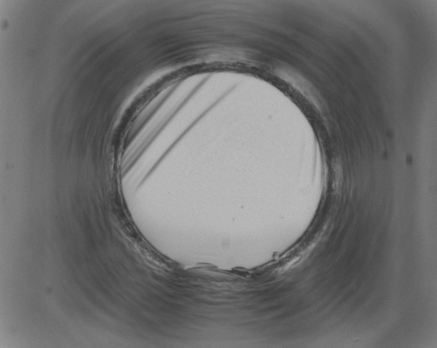 X0000081451021200702092244