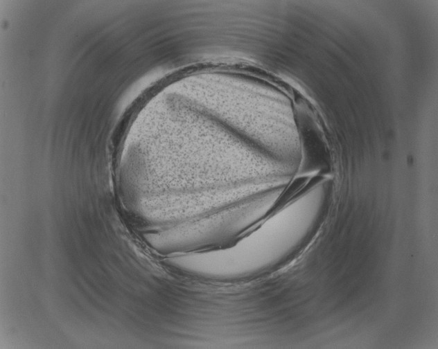 X0000081451022200702092244