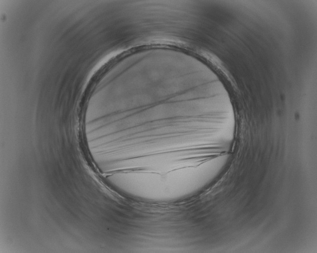 X0000081451024200702092244