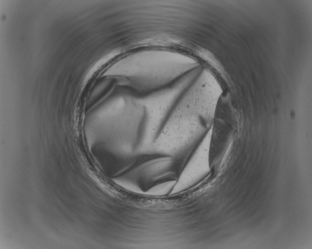 X0000081451026200702092244