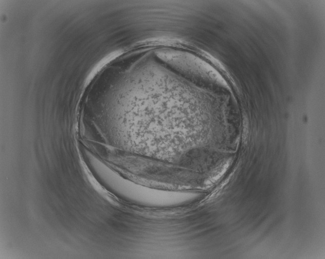 X0000081451042200702092245