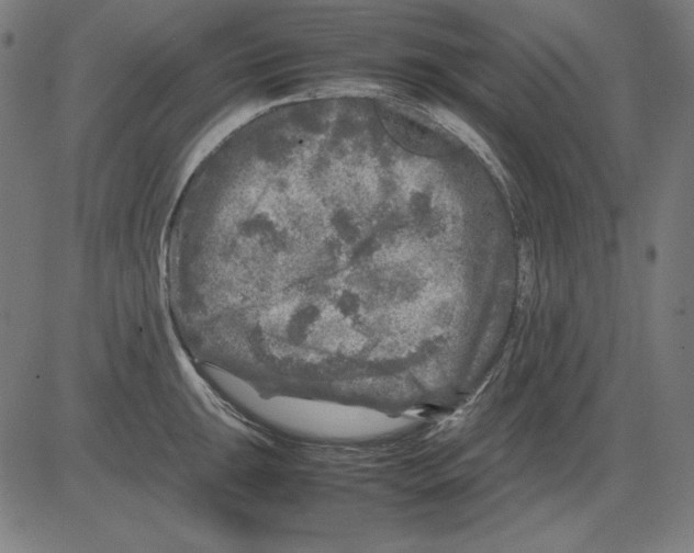 X0000081451047200702092245