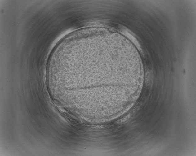 X0000081451051200702092245