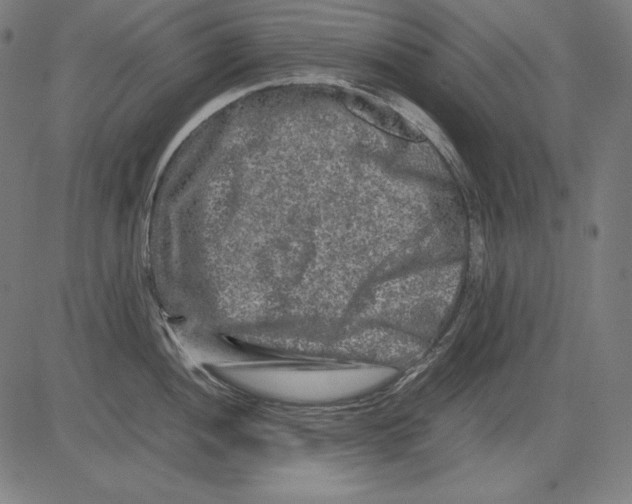 X0000081451052200702092245