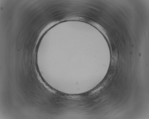 X0000081451053200702092245