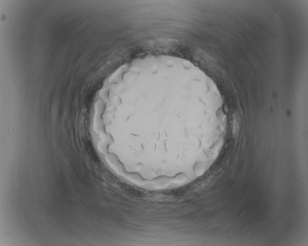 X0000081451059200702092244