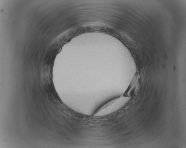 X0000081451062200702092244