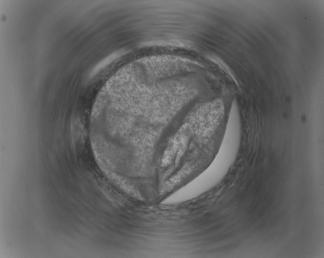 X0000081451064200702092244