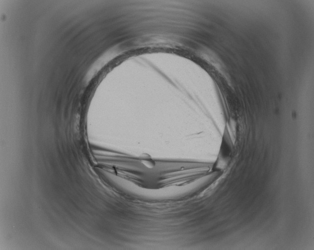 X0000081451066200702092244