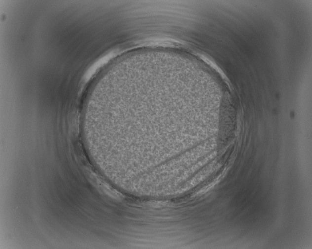 X0000081451067200702092244