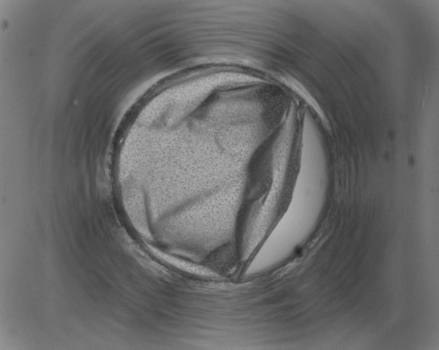 X0000081451068200702092244
