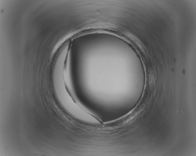 X0000081451069200702092244