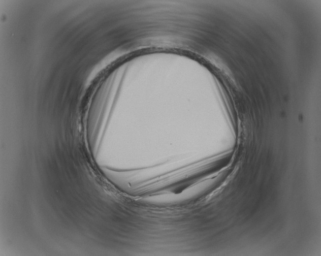 X0000081451070200702092244
