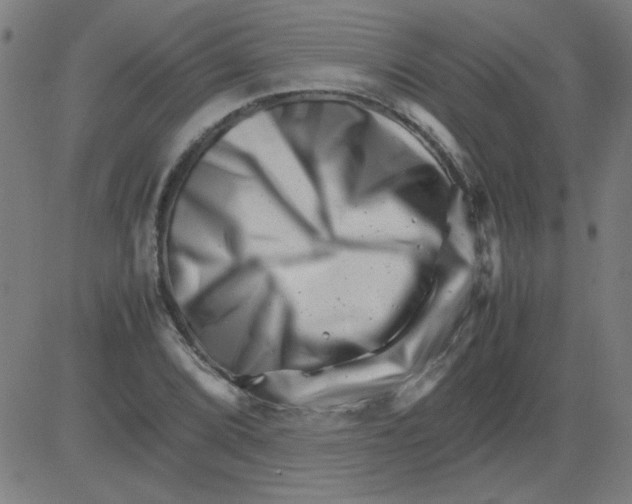 X0000081451072200702092244