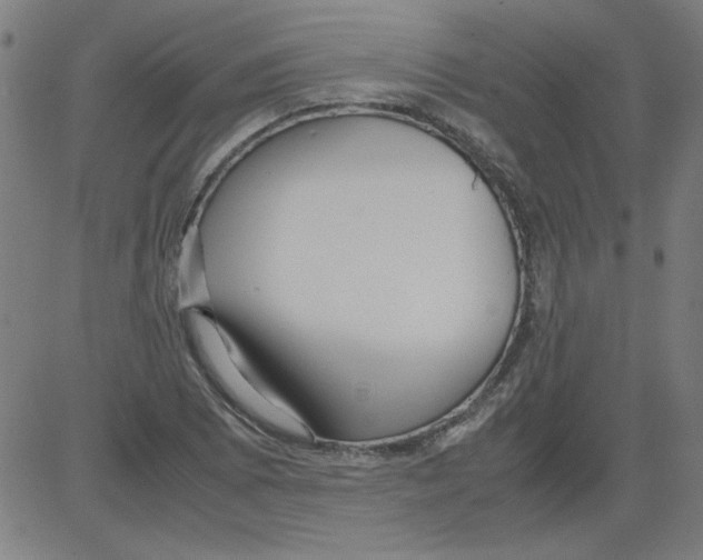 X0000081451073200702092244