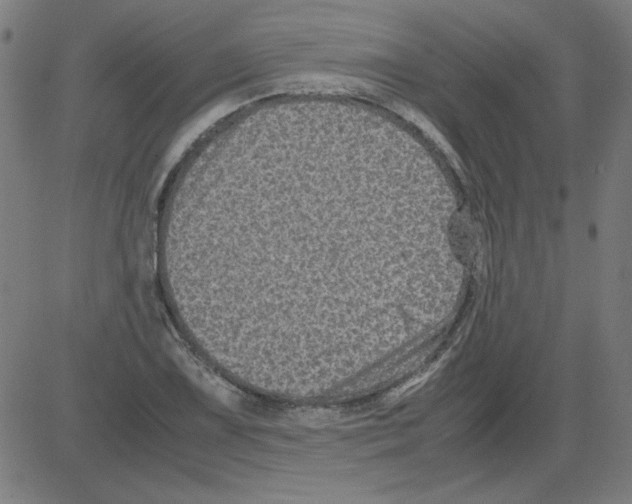 X0000081451075200702092244