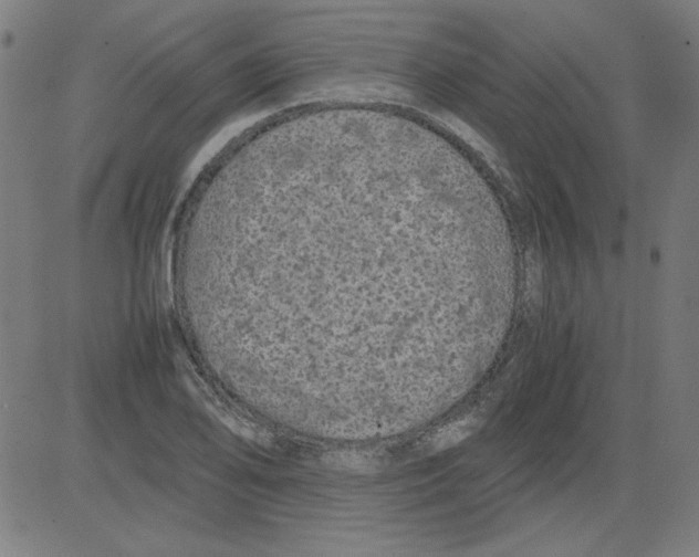 X0000081451078200702092244