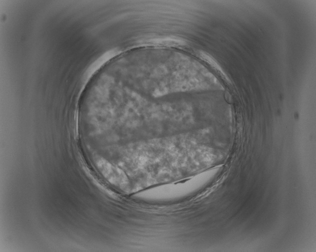 X0000081451079200702092244
