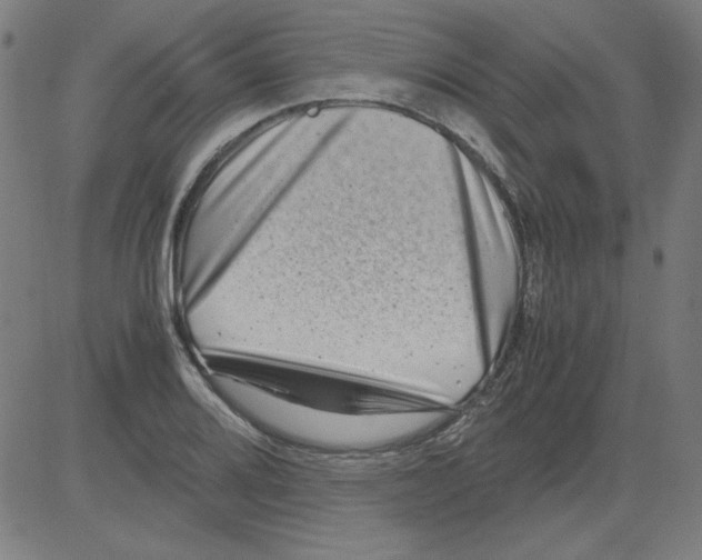 X0000081451080200702092244