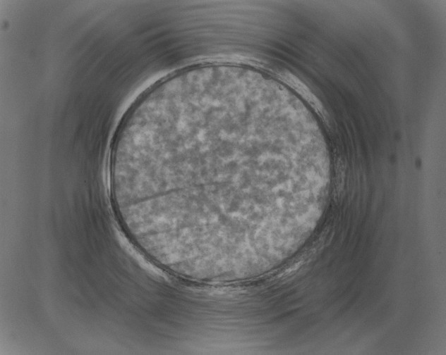 X0000081451084200702092244