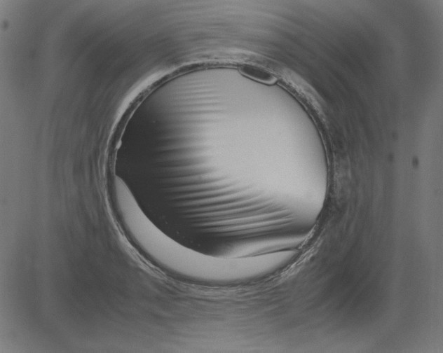 X0000081451085200702092244