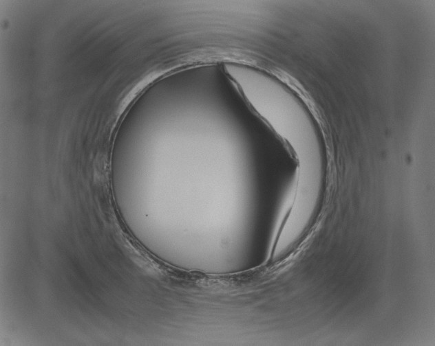 X0000081451089200702092244