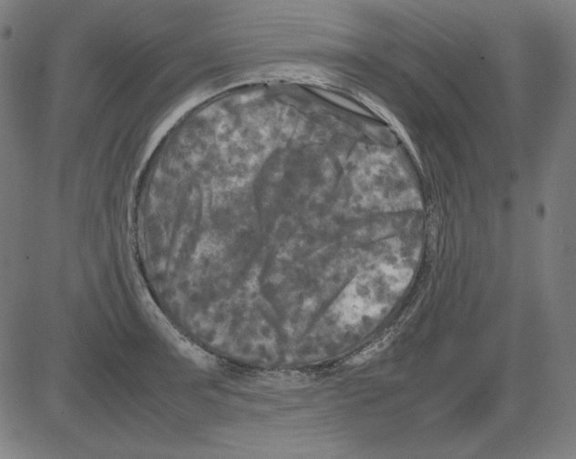 X0000081451091200702092243