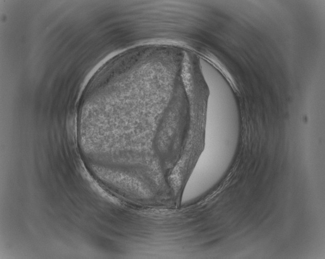 X0000081451092200702092243