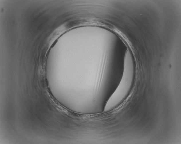 X0000081451097200702092243