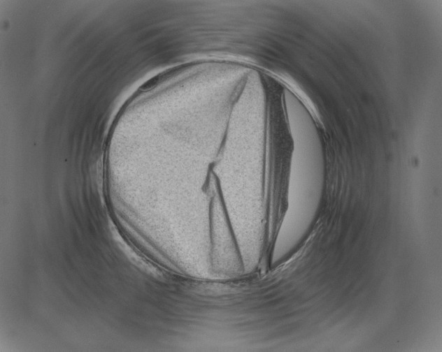 X0000081451100200702092243