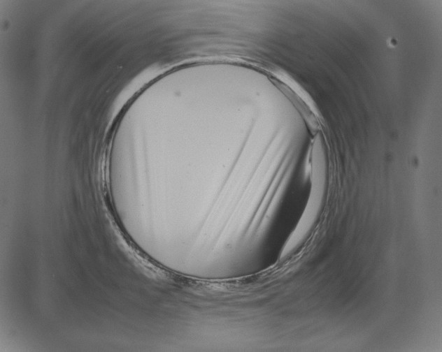 X0000081451101200702092243