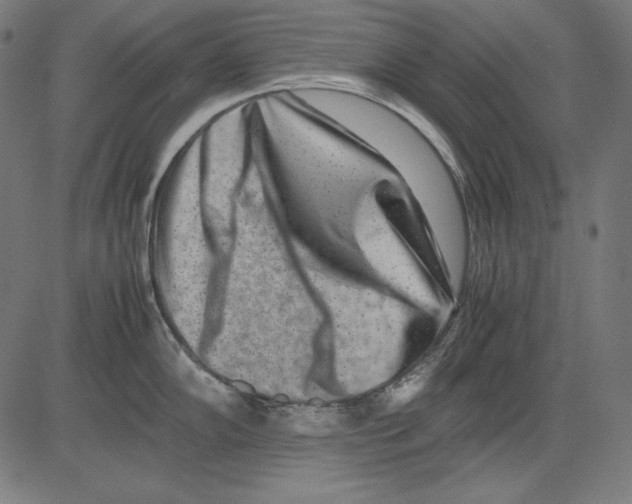 X0000081451102200702092243