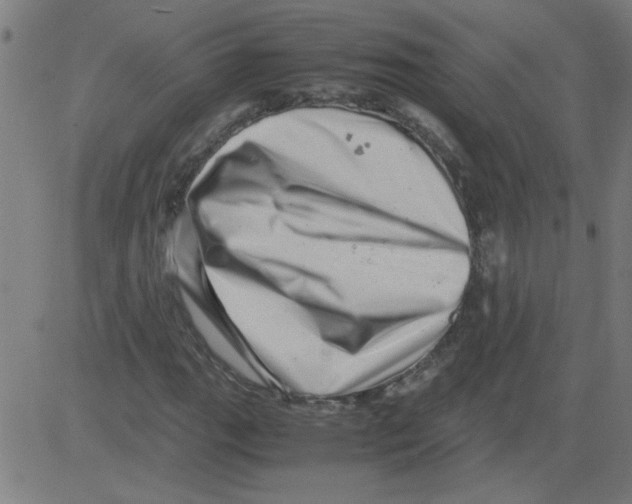 X0000081451111200702092243