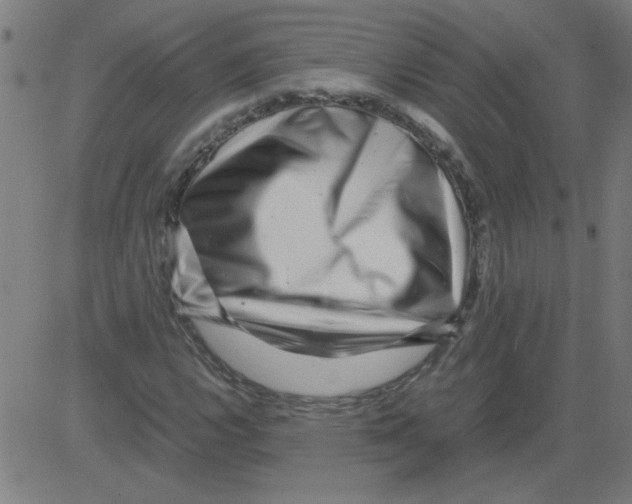 X0000081451112200702092243