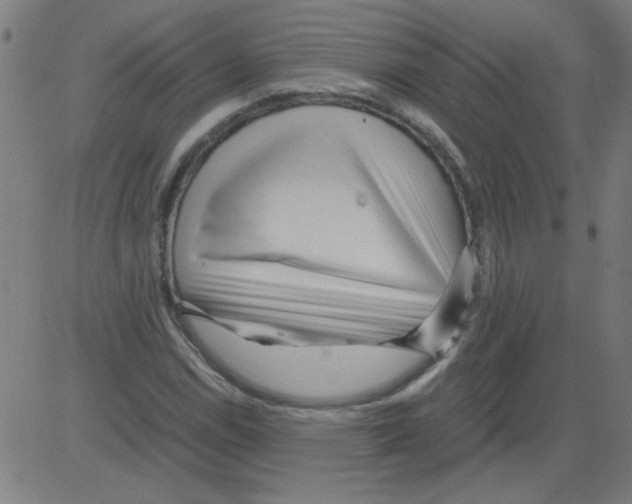 X0000081451114200702092243