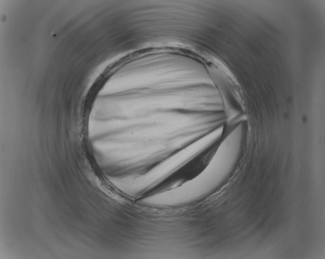 X0000081451116200702092243