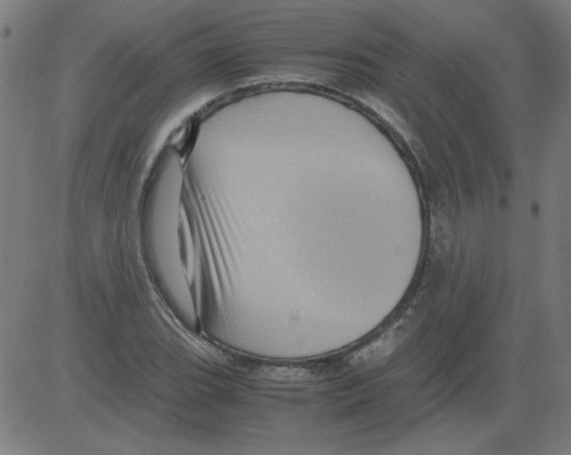 X0000081451119200702092243