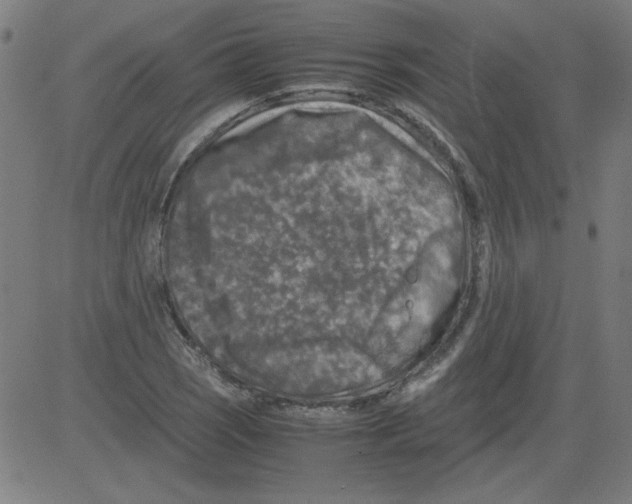 X0000081451121200702092243