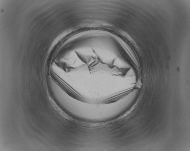 X0000081451122200702092243