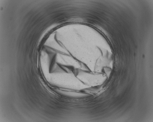 X0000081451123200702092243