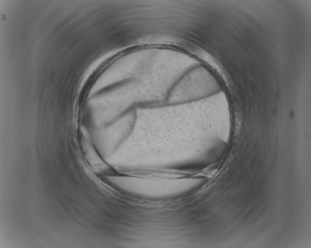 X0000081451124200702092243
