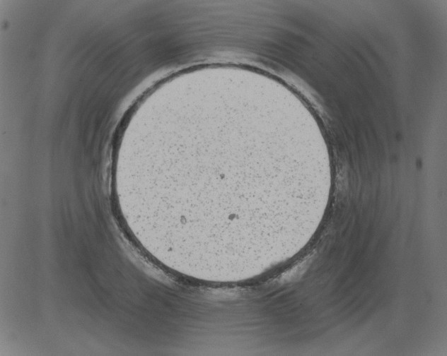 X0000081451126200702092243