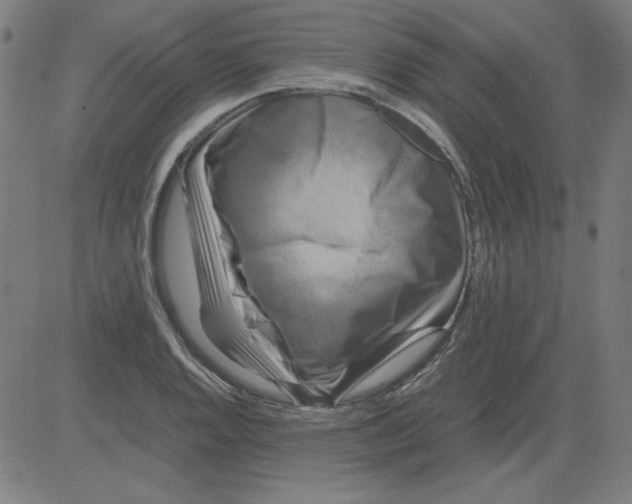 X0000081451128200702092243