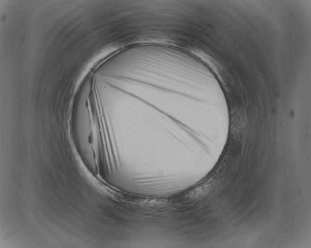 X0000081451139200702092243