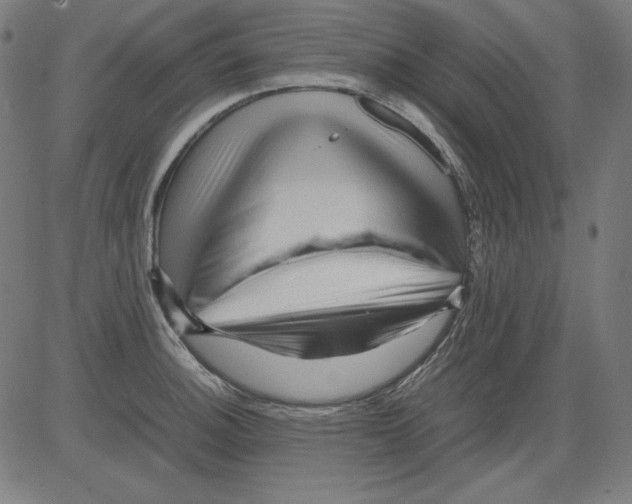 X0000081451140200702092243