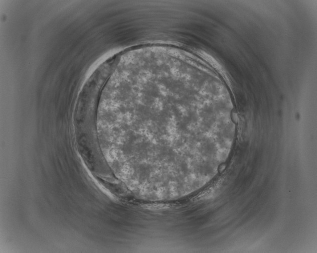 X0000081451141200702092243