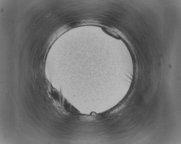 X0000081451145200702092243