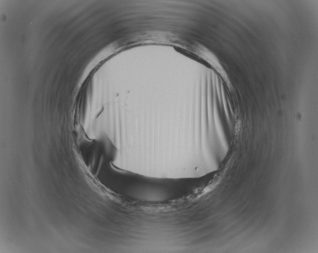X0000081451146200702092243