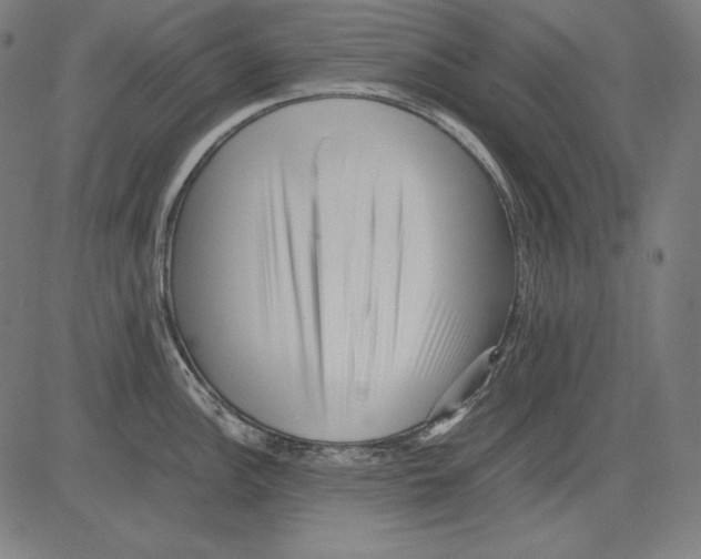 X0000081451148200702092243