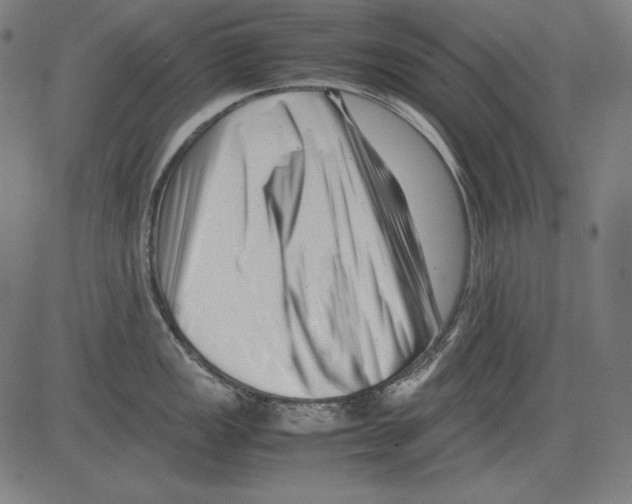 X0000081451149200702092243